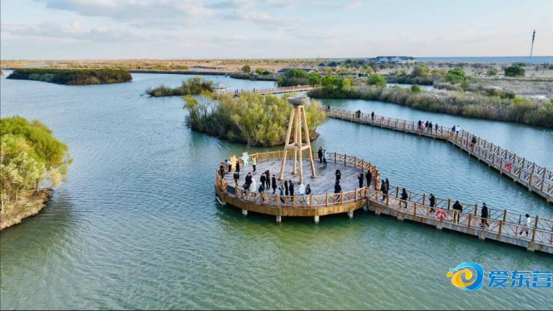 采访时透露 采访时透露